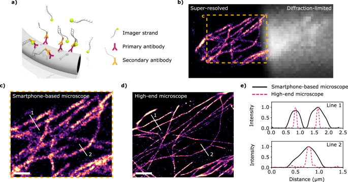 Fig. 4: Super-resolution DNA-PAINT imaging on cells.