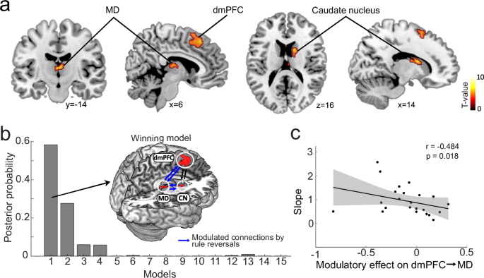 Fig. 2: Engagement of MD, dmPFC and striatum following rule reversals.