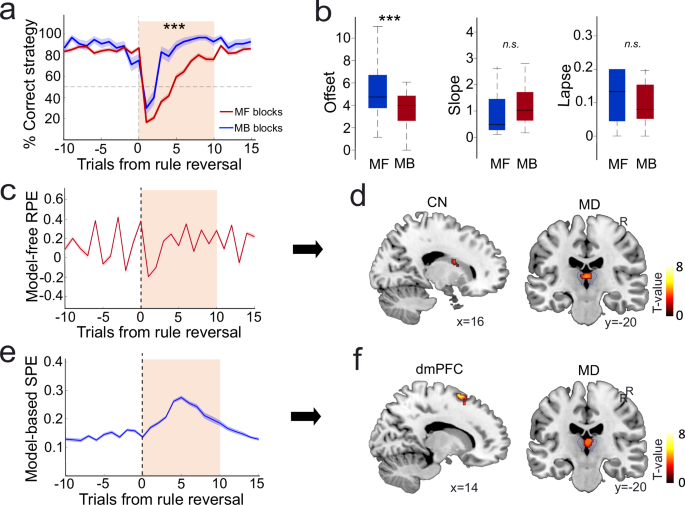 Fig. 4: Encoding of model-free (MF) and model-based (MB) algorithms in dmPFC, caudate and MD.