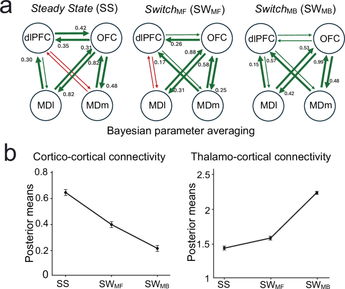 Fig. 6: Transthalamic connectivity in Steady State (SS), model-free Switch (SWMF) and model-based Switch trials (SWMB).