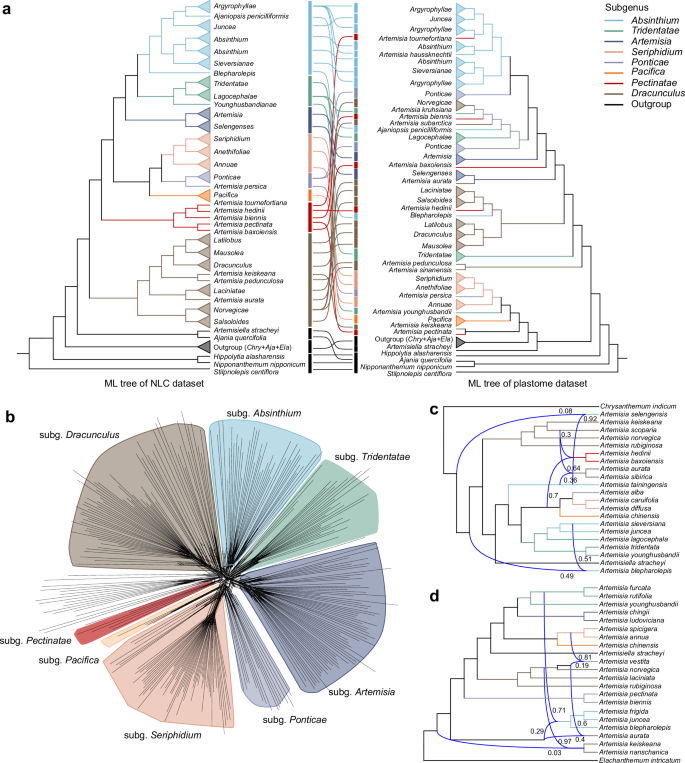 Fig. 3: Phylogenetic discordance and reticulate evolution in Artemisia.