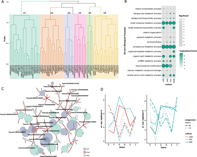 Fig. 3: Components of the cultivar-specific networks with functional annotation and cultivar specific differences.