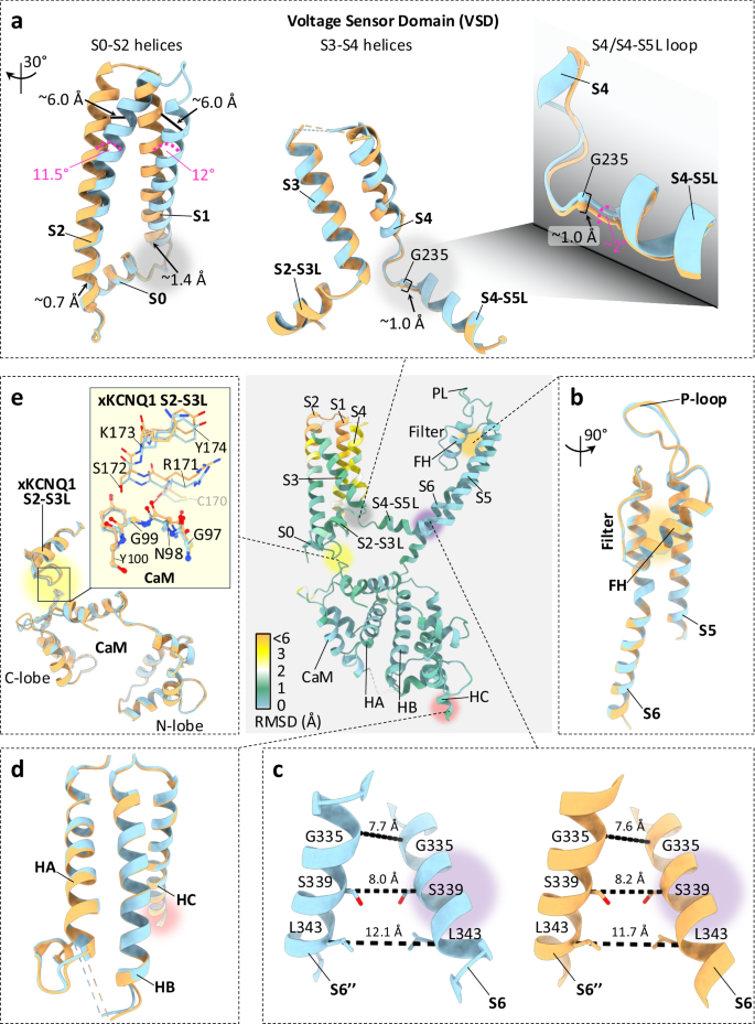 Fig. 3: Structural comparison between xE1R/R2E and xWT.
