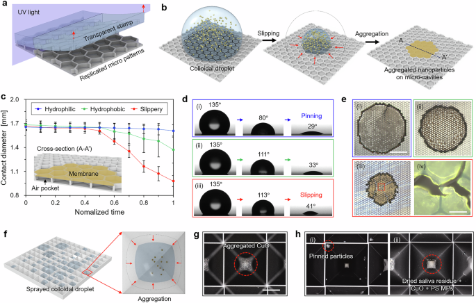 Fig. 4: Microimprinted slippery surfaces for advanced liquid manipulation and particle aggregation using UV NIL.