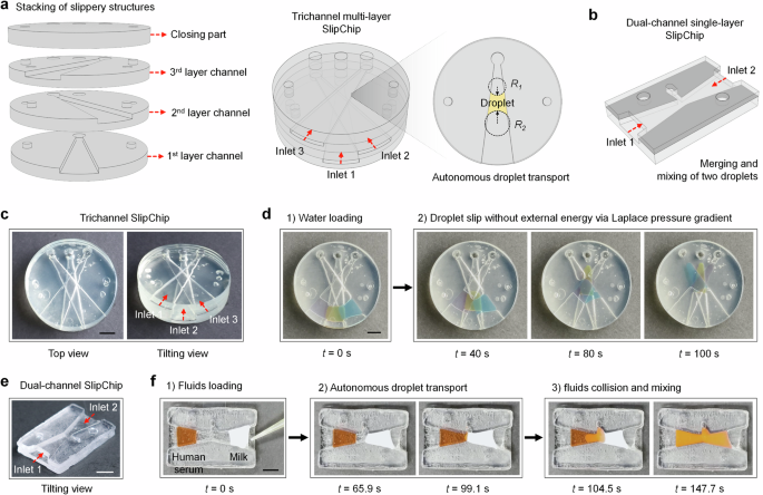 Fig. 5: Demonstration of DLP 3D printed slippery microfluidic chips enabling autonomous liquid transport.
