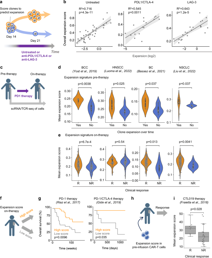 Fig. 4: The expansion signature predicts intratumoral clone expansion during immunotherapy.