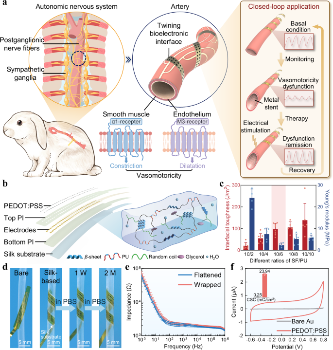 Fig. 1: Overview and characterization of the BACE interface.
