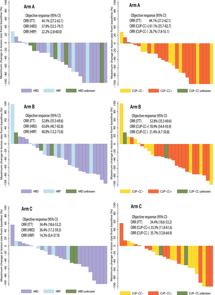 Fig. 3: Waterfall plots by treatment arms and biomarker subgroups.