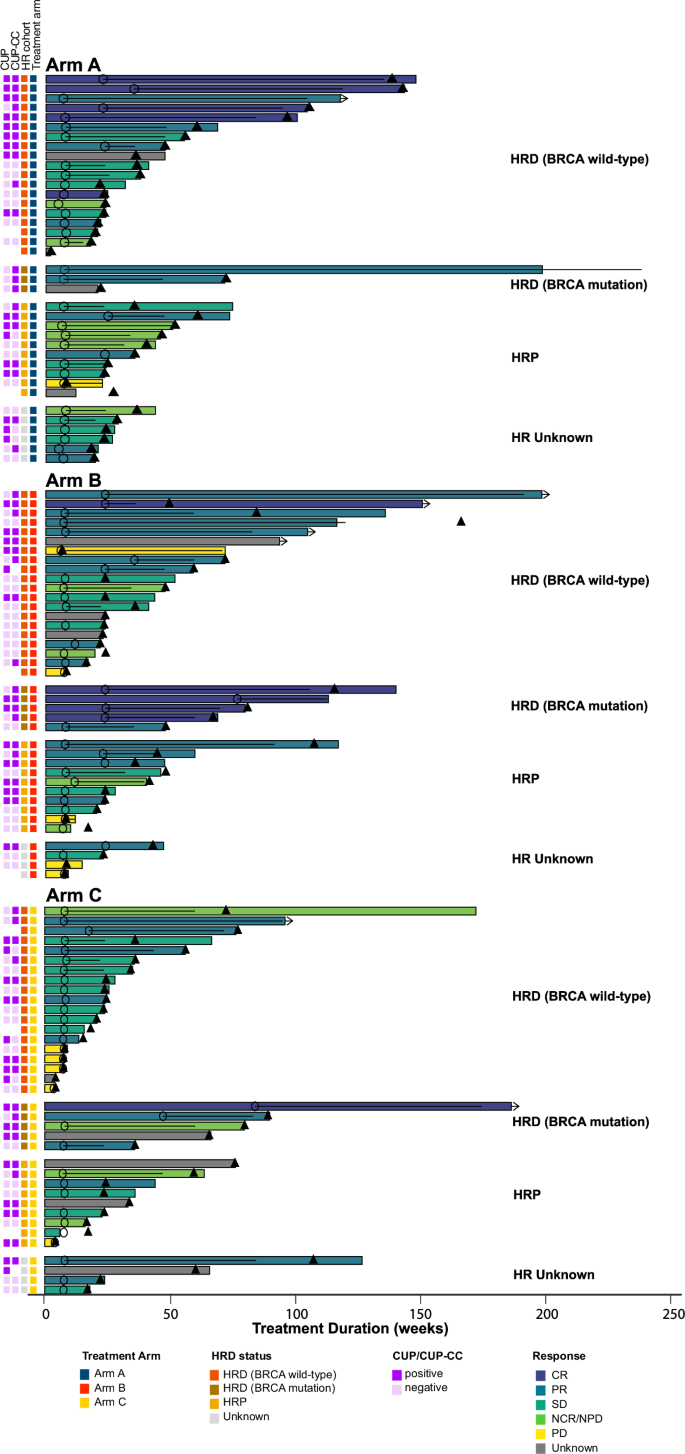 Fig. 6: Swimmer plot by treatment arms.