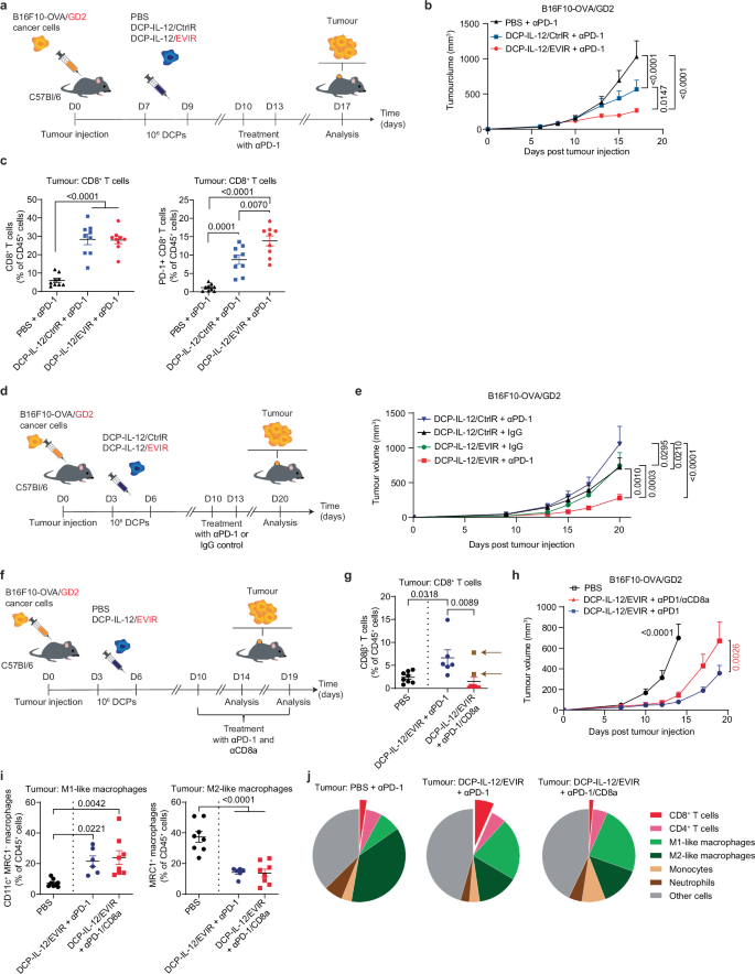 Fig. 2: ɑGD2 DCP-IL-12/EVIR unleash ɑPD-1 efficacy in B16F10-OVA/GD2 melanoma.