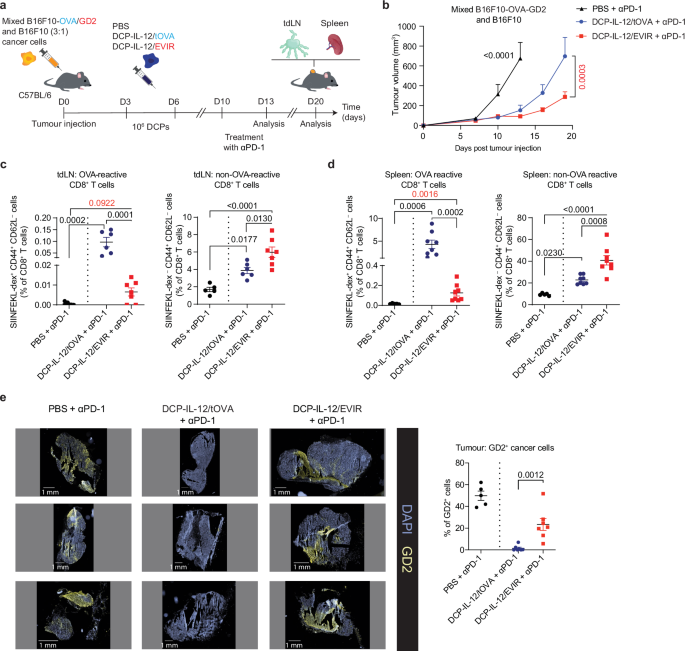 Fig. 4: αGD2 DCP-EVIR inhibit the growth of bait antigen-negative cancer cells in molecularly heterogenous tumours.