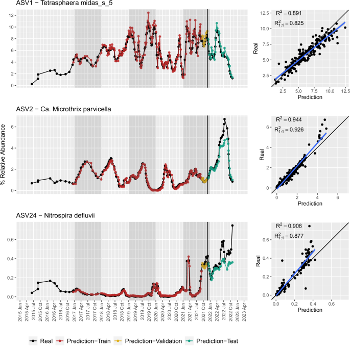 Fig. 3: Examples of model performance on the time series of 3 ASVs from key species in Mariagerfjord.