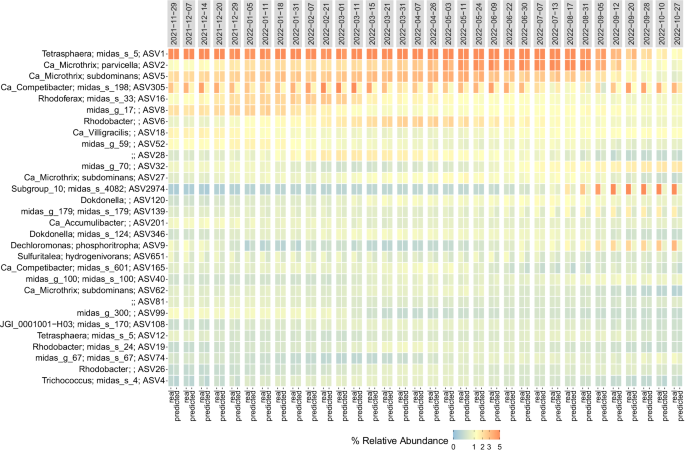 Fig. 4: Real and predicted abundances of the 30 most abundant ASVs in Mariagerfjord.