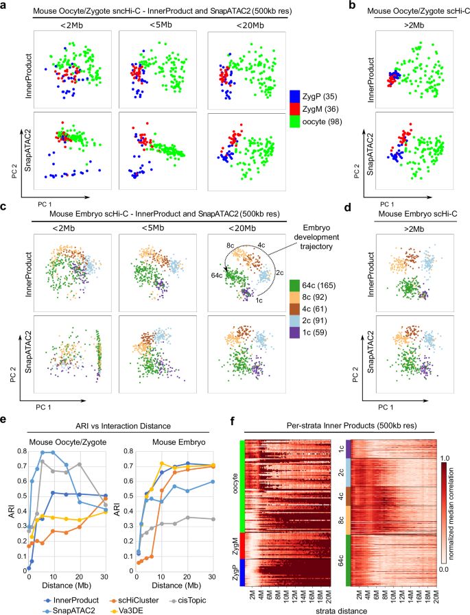 Fig. 2: Large contacts distinguish early embryogenesis cell populations.
