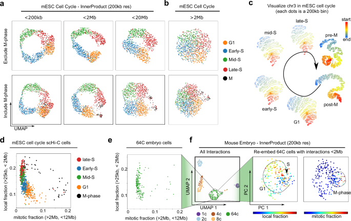 Fig. 4: Short-range contacts encode G1-S phases into a circle except M-phase in cell cycle.