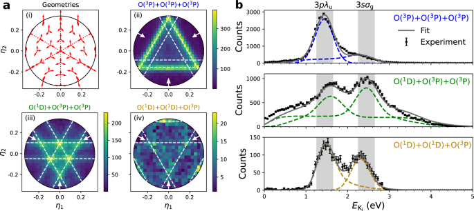 Fig. 2: Dalitz representation analysis for the observed three-body product channels with extracted intermediate kinetic energy release 
                        
                          
                        
                        $${E}_{{{{\rm{K}}}}_{{{\rm{i}}}}}$$
                        
                          
                            
                              E
                            
                            
                              
                                
                                  K
                                
                                
                                  i
                                
                              
                            
                          
                        
                       distributions.