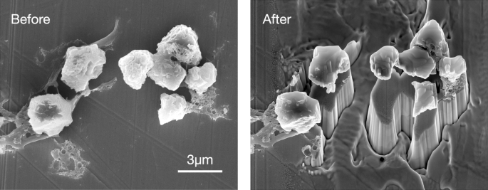 Fig. 4: SE image of presolar SiC grains before and after sputtering by LIMAS.