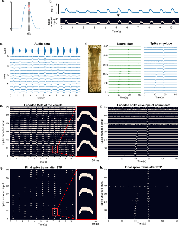 Fig. 1: Receptive-field-based encoding pipeline.