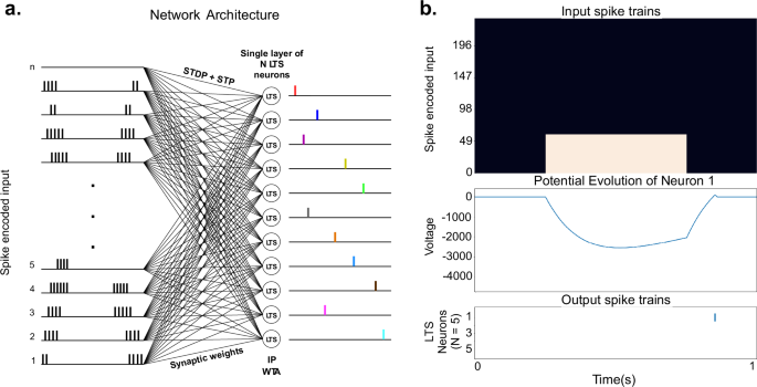 Fig. 3: Network architecture.