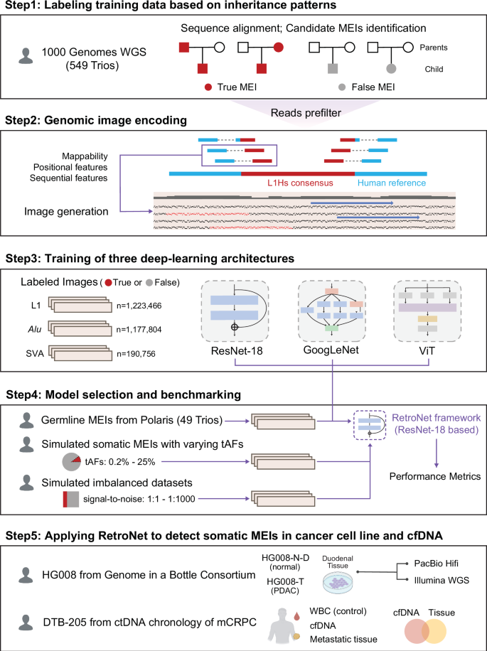 Fig. 1: Schematic overview of the RetroNet framework.