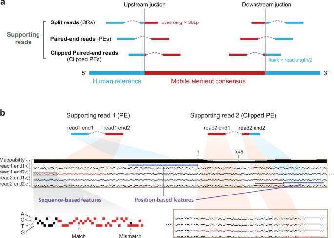 Fig. 2: Image-based encoding of MEI candidate supporting reads.
