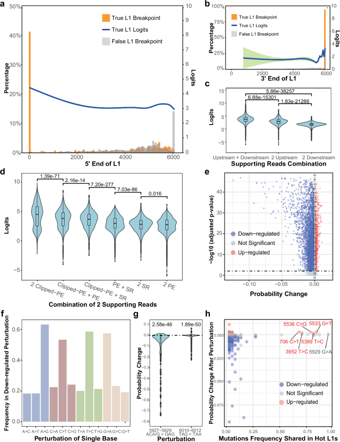 Fig. 6: Interpretation of the RetroNet neural network reveals known L1 retrotransposition hallmarks.
