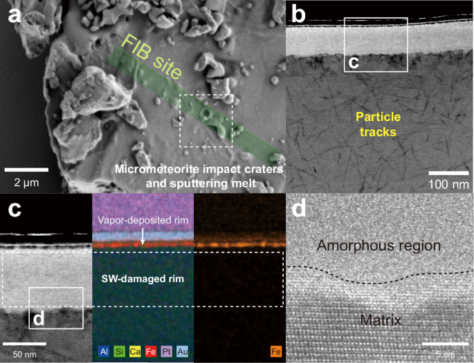 Fig. 1: The microscopic characteristics of representative studied grains.