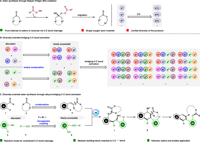Fig. 1: Unstrained C–C bond cleavage.