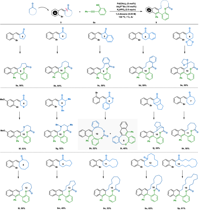 Fig. 3: Scope for C–C cleavage of unstrained cyclic carbonyl compounds.
