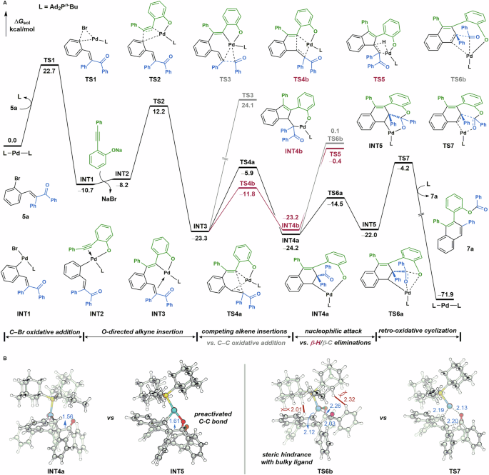 Fig. 5: Mechanistic studies.
