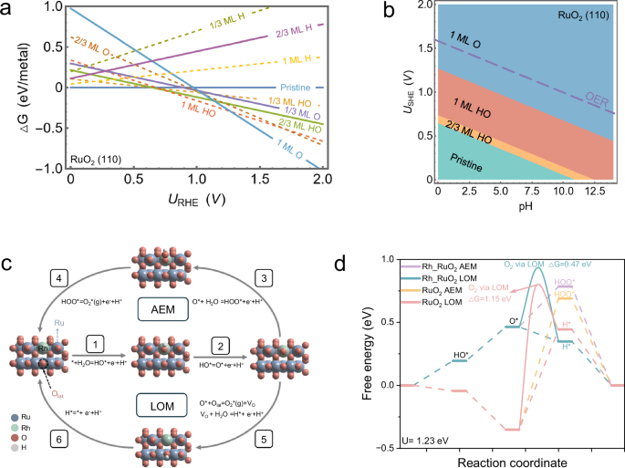 Fig. 5: Computational analysis of the surface state and illustration of the OER mechanism.