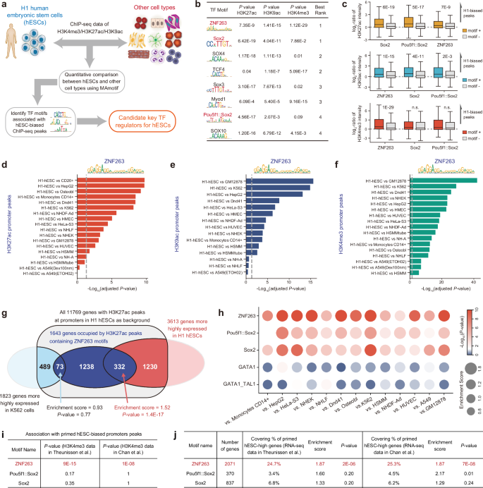 Fig. 1: In-silico screening using MAmotif.