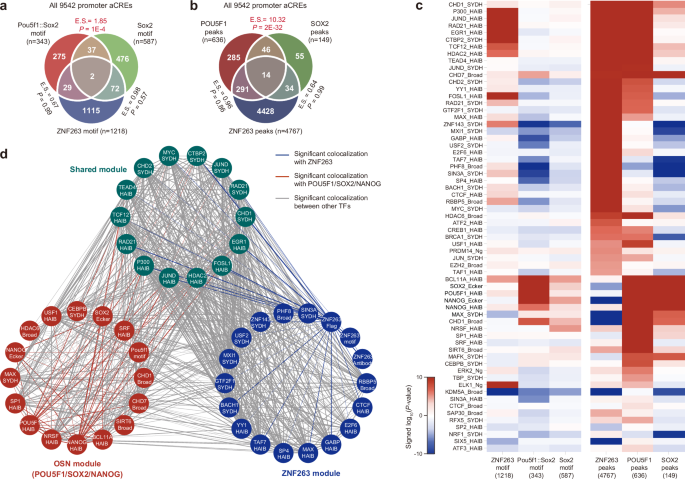 Fig. 3: Identification of ZNF263 regulatory module at gene promoters.