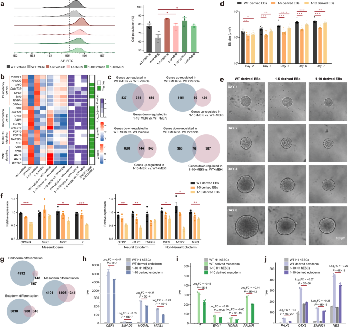 Fig. 6: ZNF263-deficient hESCs show defects in pluripotent state dissolution and lineage differentiation.