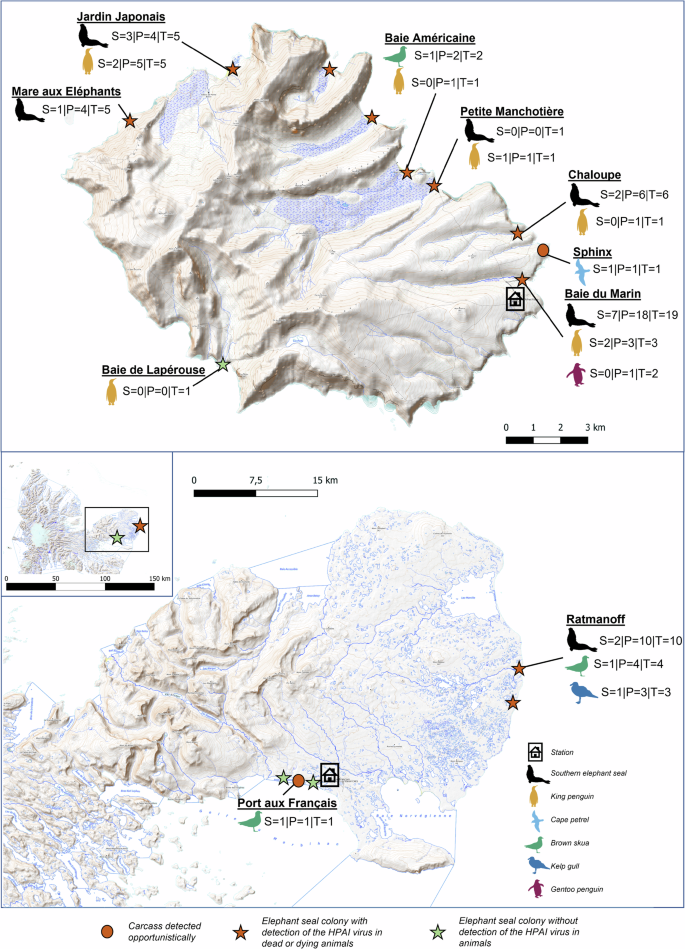 Fig. 2: The Crozet (Possession Island) and Kerguelen (Courbet peninsula) islands.
