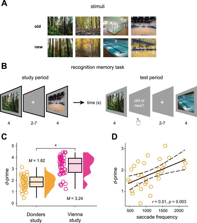 Fig. 1: Recognition memory performance and saccades.