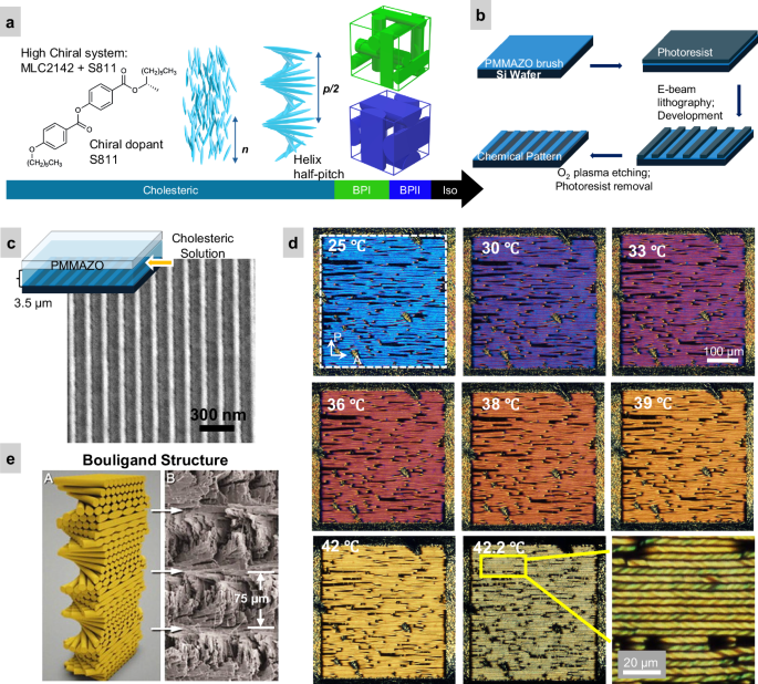 Fig. 1: Engineering the hierarchical helical morphology using directed self-assembly.