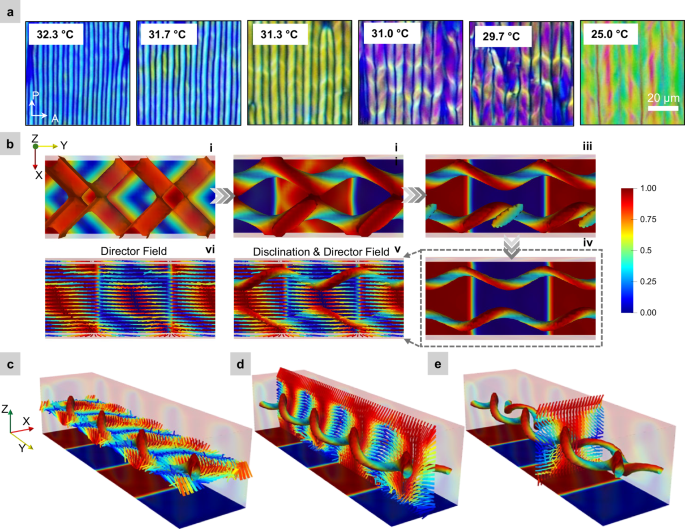 Fig. 2: Evolution of the hierarchical helical morphology.