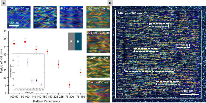 Fig. 5: Chemical pattern dimensions impact the hierarchical helical morphology.