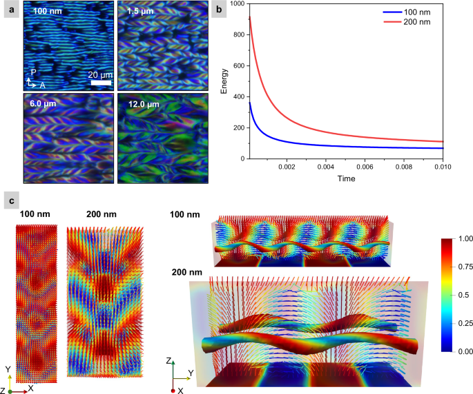 Fig. 6: Hierarchical helical morphology confined in different film thickness.