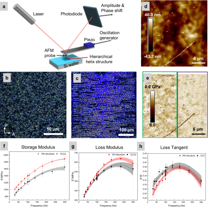 Fig. 7: Nano-mechanics of soft-templated hierarchical helical morphology.