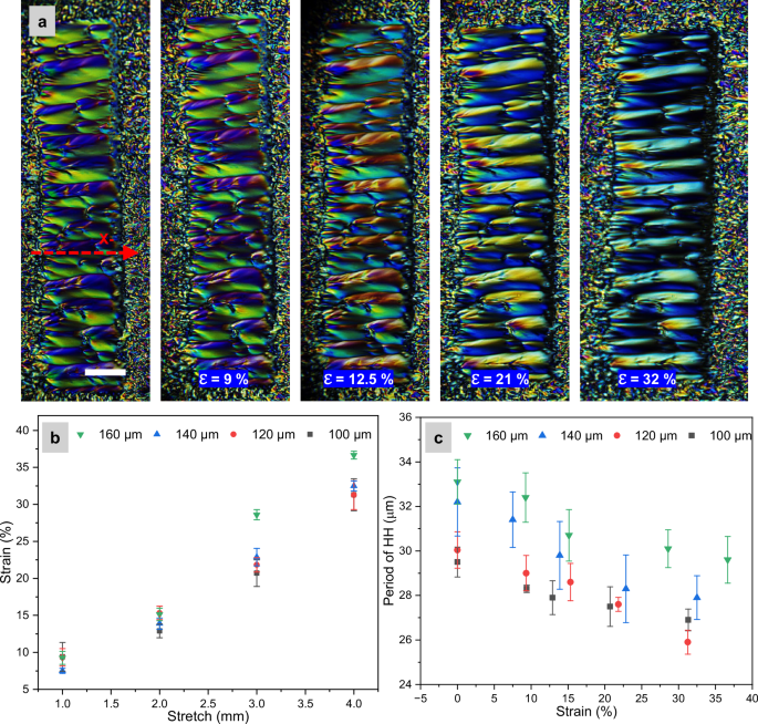 Fig. 8: Elastic reversible deformation of hierarchical helical morphology under uniaxial stretch.