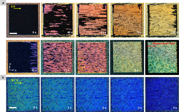 Fig. 9: Electro-optic response of hierarchical helical (HH) morphology.