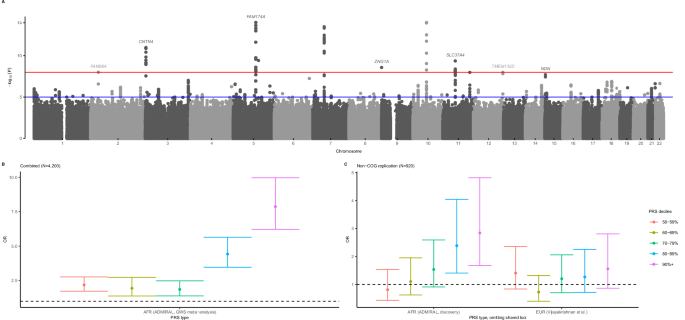 Fig. 1: Top B-ALL risk loci in African American children and comparison of genetic ancestry-specific B-ALL polygenic risk scores.