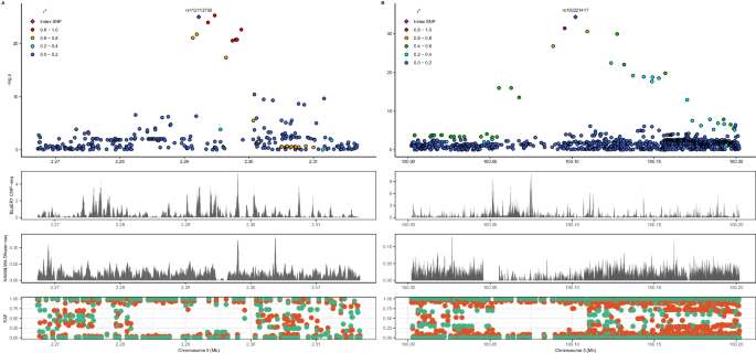 Fig. 2: Novel African ancestry-specific childhood B-ALL risk loci at CNTN4 (left) and FAM174A (right).
