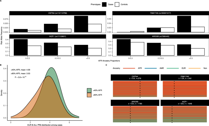 Fig. 3: Admixture and relevance of global and local African ancestry on B-ALL risk alleles.
