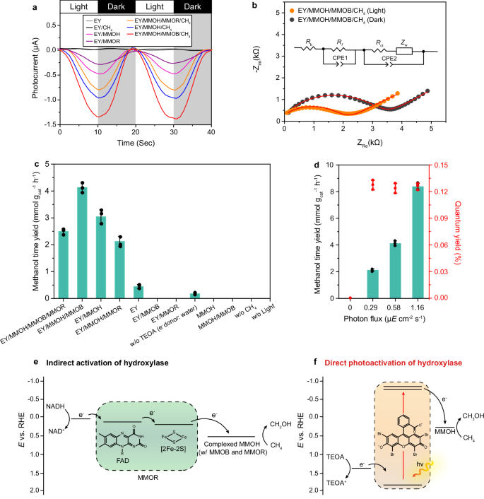 Fig. 5: Photobiocatalytic methane hydroxylation by EY.