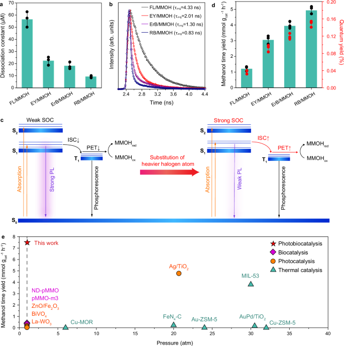 Fig. 6: Structural effect of XD on biosolar methane hydroxylation.