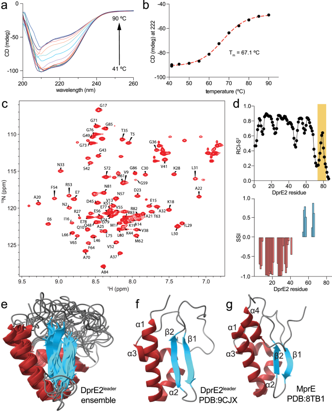 Fig. 3: Structure of the NHLP DprE2leader.