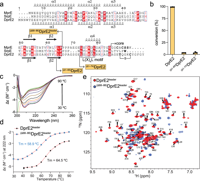 Fig. 5: Full length NHLP is required for LanM activity.